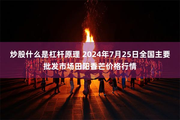 炒股什么是杠杆原理 2024年7月25日全国主要批发市场田阳香芒价格行情