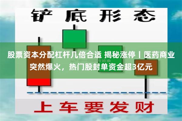 股票资本分配杠杆几倍合适 揭秘涨停丨医药商业突然爆火，热门股封单资金超3亿元