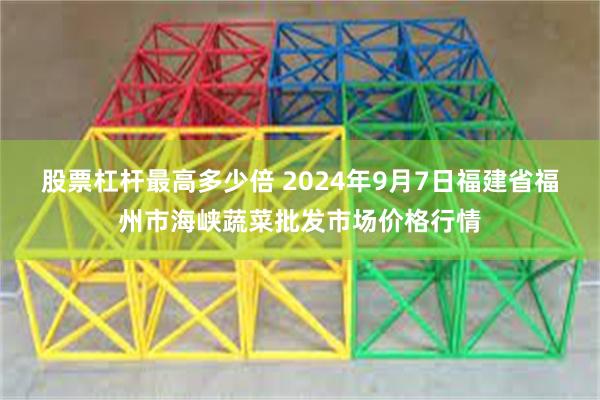 股票杠杆最高多少倍 2024年9月7日福建省福州市海峡蔬菜批发市场价格行情