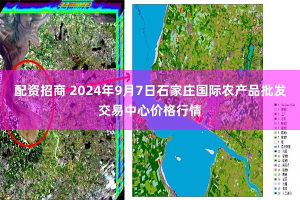 配资招商 2024年9月7日石家庄国际农产品批发交易中心价格行情