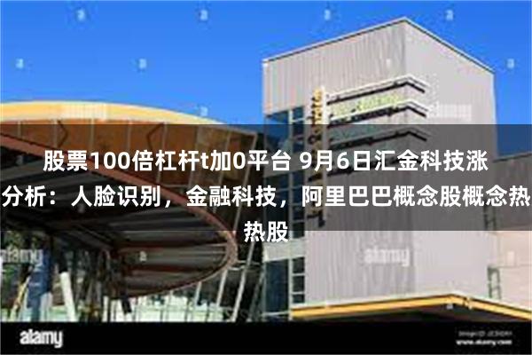 股票100倍杠杆t加0平台 9月6日汇金科技涨停分析：人脸识别，金融科技，阿里巴巴概念股概念热股