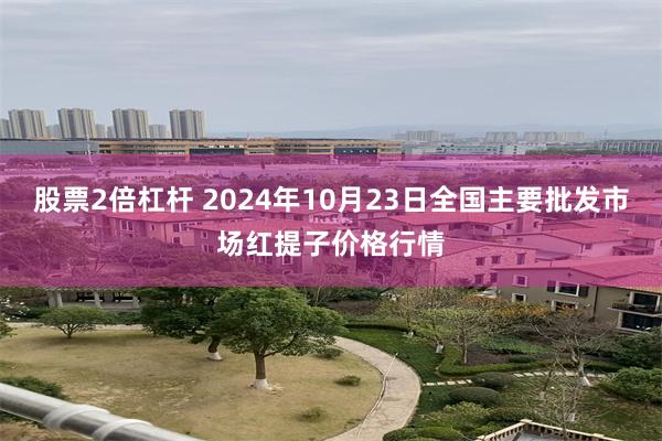 股票2倍杠杆 2024年10月23日全国主要批发市场红提子价格行情