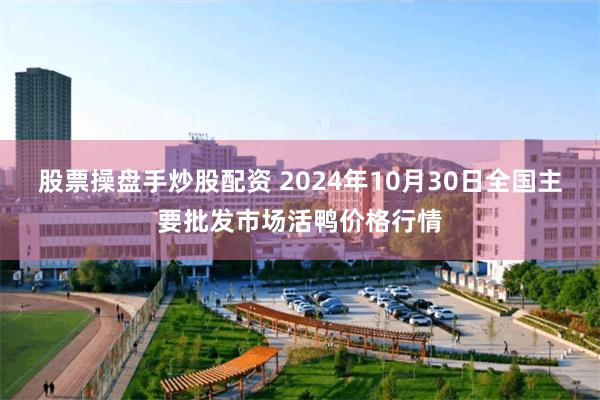 股票操盘手炒股配资 2024年10月30日全国主要批发市场活鸭价格行情