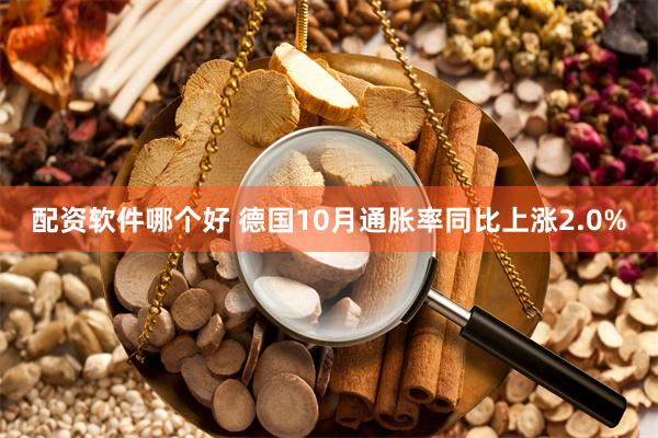 配资软件哪个好 德国10月通胀率同比上涨2.0%