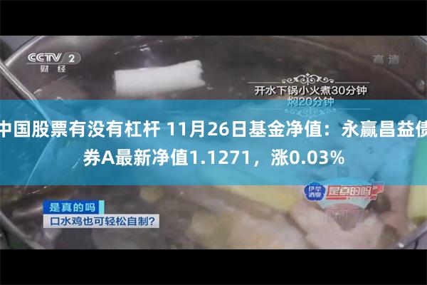 中国股票有没有杠杆 11月26日基金净值：永赢昌益债券A最新净值1.1271，涨0.03%