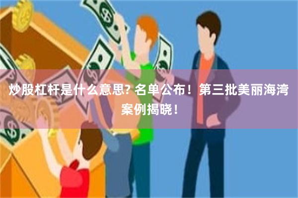 炒股杠杆是什么意思? 名单公布！第三批美丽海湾案例揭晓！