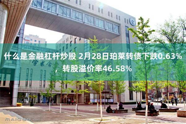 什么是金融杠杆炒股 2月28日珀莱转债下跌0.63%，转股溢价率46.58%